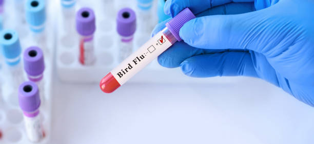 FDA halts bird flu testing due to budget cuts